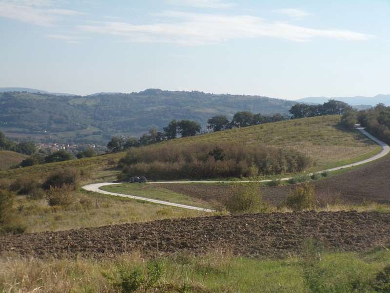 RUSTICO CON TERRENO A POGGIO SAN MARCELLO
